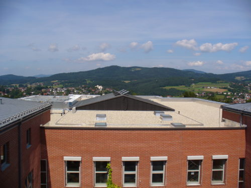 Gymnasium Viechtach (3)